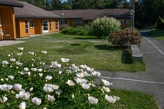 Om sommeren er området rundt oss grønt og med mye blomster