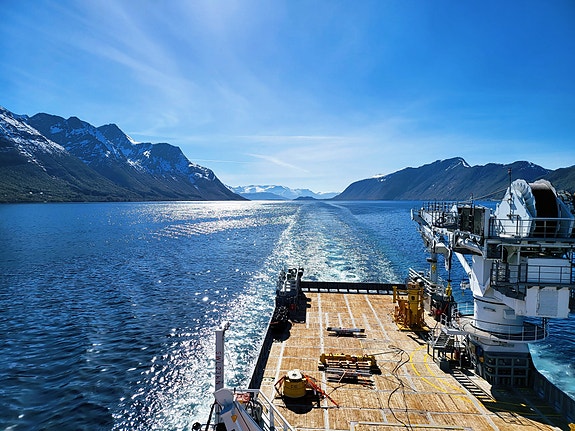 Bilde 2 av 4 i jobbannonse-galleriet