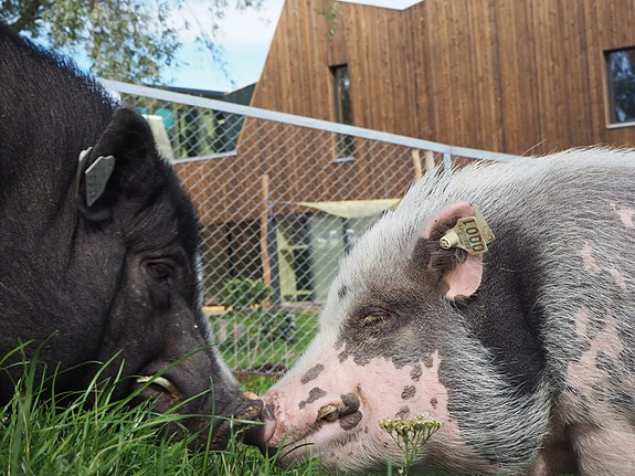 Bilde 7 av 7 i jobbannonse-galleriet