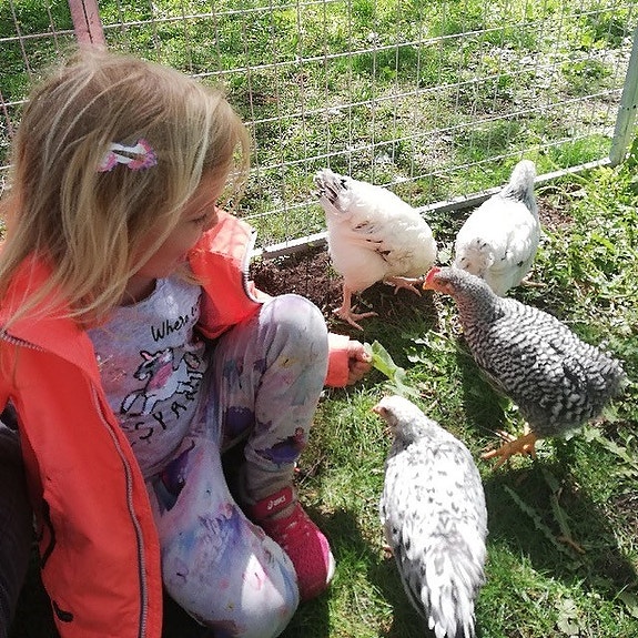 Bilde 6 av 7 i jobbannonse-galleriet