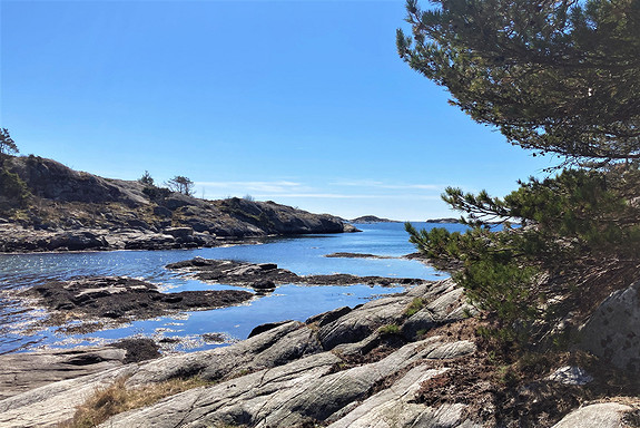 Skjærgården 250 meter fra tomten