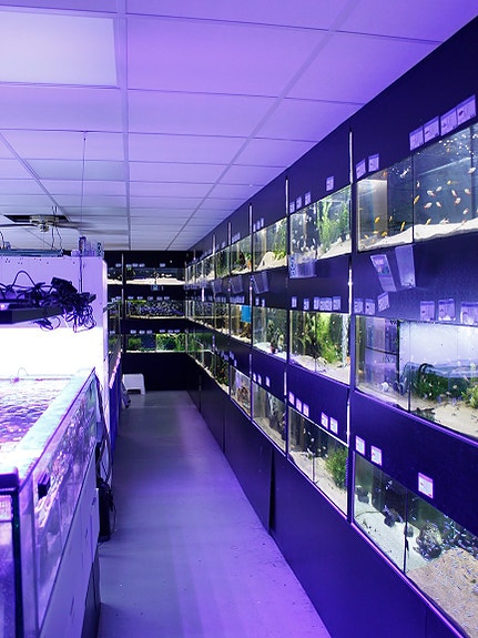 Bilde 1 av 46 i jobbannonse-galleriet