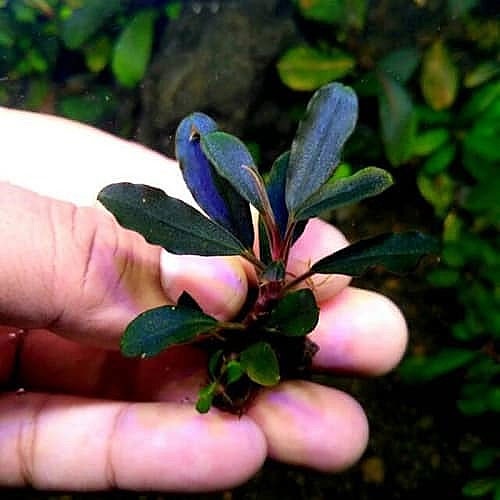 Bilde 14 av 46 i jobbannonse-galleriet