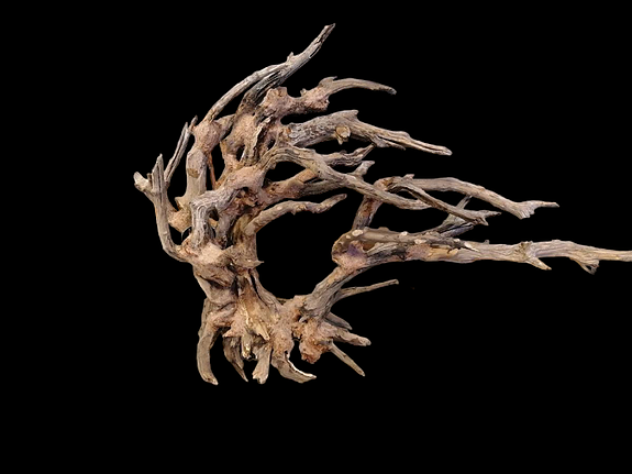 Bilde 42 av 46 i jobbannonse-galleriet