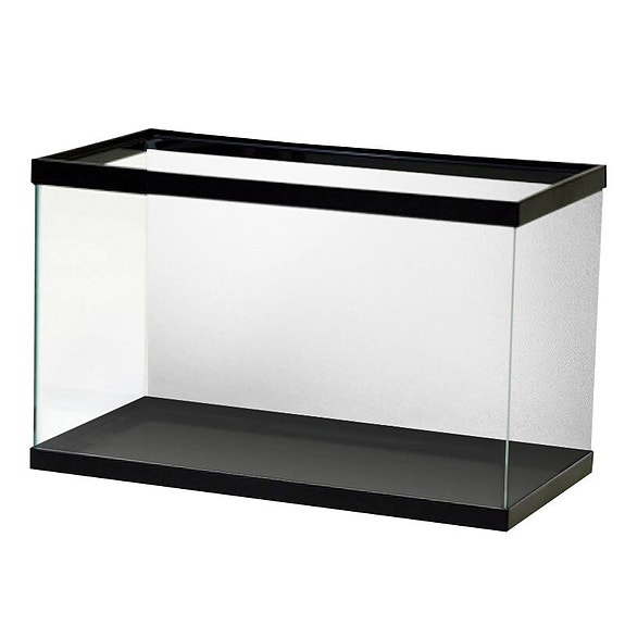 Bilde 10 av 46 i jobbannonse-galleriet