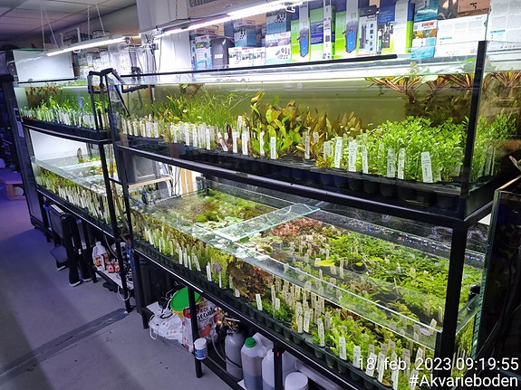 Bilde 44 av 46 i jobbannonse-galleriet