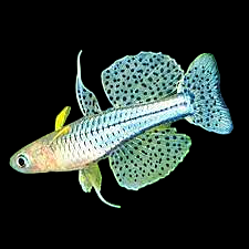 Bilde 32 av 46 i jobbannonse-galleriet