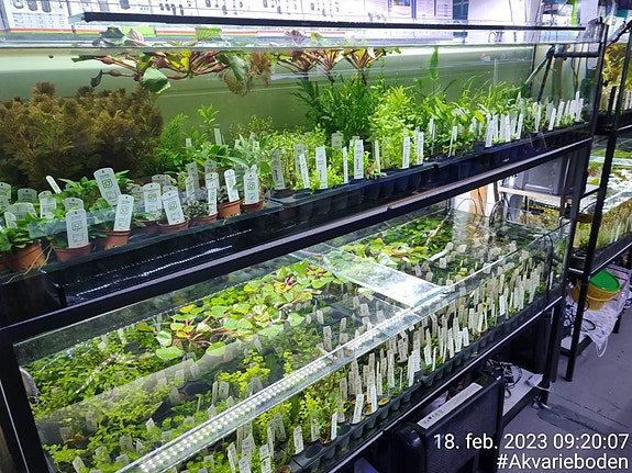 Bilde 45 av 46 i jobbannonse-galleriet