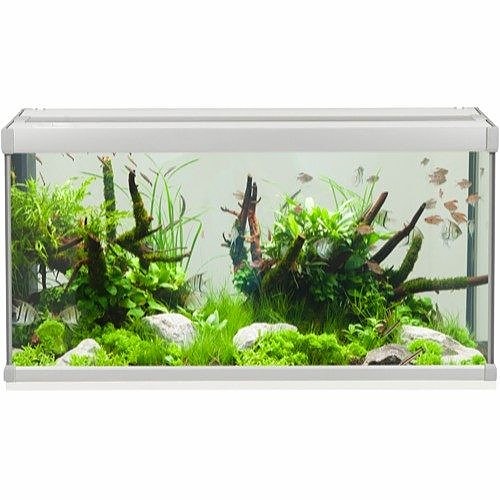 Bilde 13 av 46 i jobbannonse-galleriet