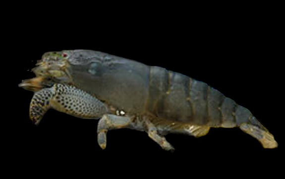 Bilde 40 av 46 i jobbannonse-galleriet