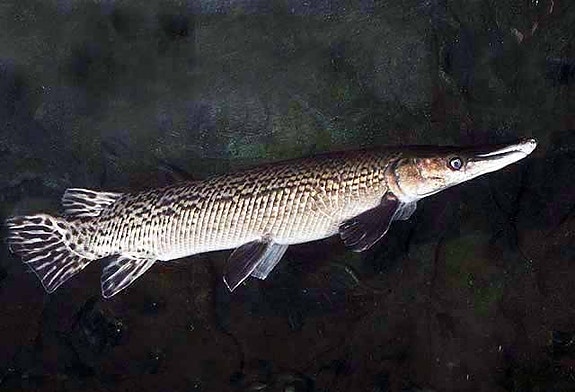 Bilde 22 av 46 i jobbannonse-galleriet