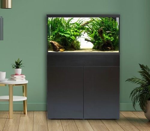 Bilde 46 av 46 i jobbannonse-galleriet