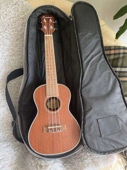 excitation Spekulerer sjældenhed Everdeen ukulele (ukcb) Reserved | FINN torget