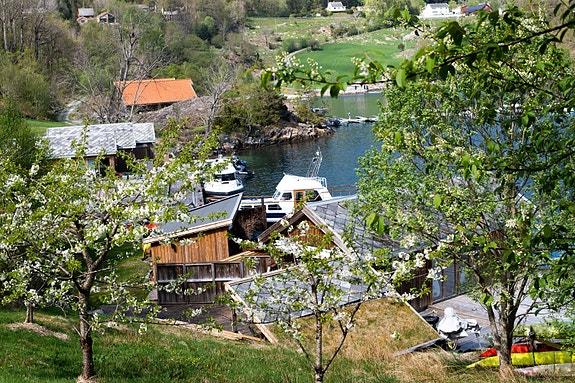 Der ligger båten klar for tur… hvis vi klarer å rive oss løs fra bryggelivet da..