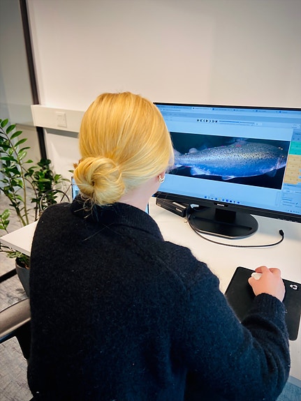 Bilde 3 av 4 i jobbannonse-galleriet