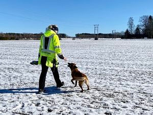 vi har en equvipasje med hund