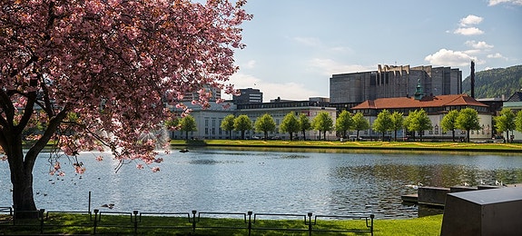 Bilde 1 av 7 i jobbannonse-galleriet