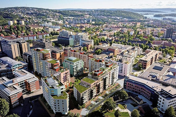 Bilde 6 av 6 i jobbannonse-galleriet