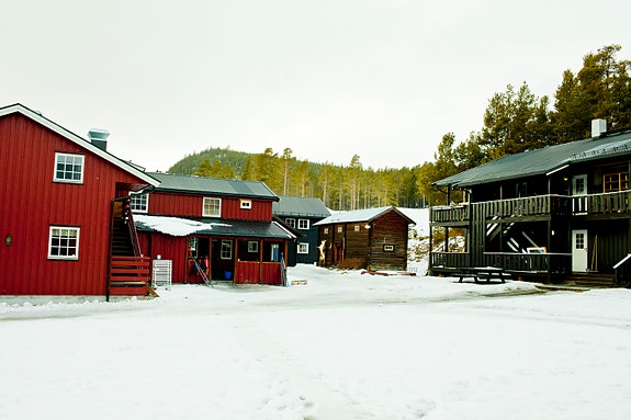 Bilde 3 av 5 i jobbannonse-galleriet