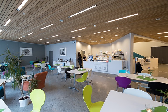Bilde 1 av 2 i jobbannonse-galleriet