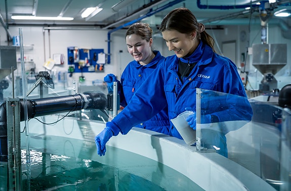 Bedriftens profilbilde