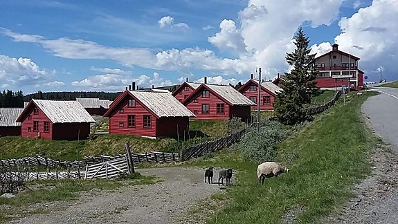 cabins