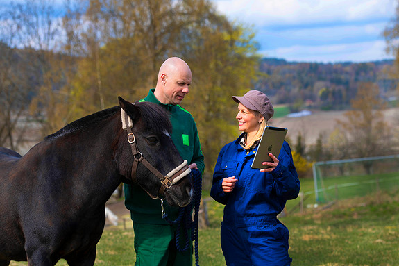 Dagens regnskapsfører samarbeider tett med kunden