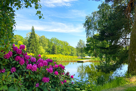 Turområde på Dømmesmoen