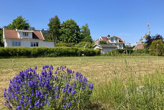 Idylliske omgivelser like ved eiendommen