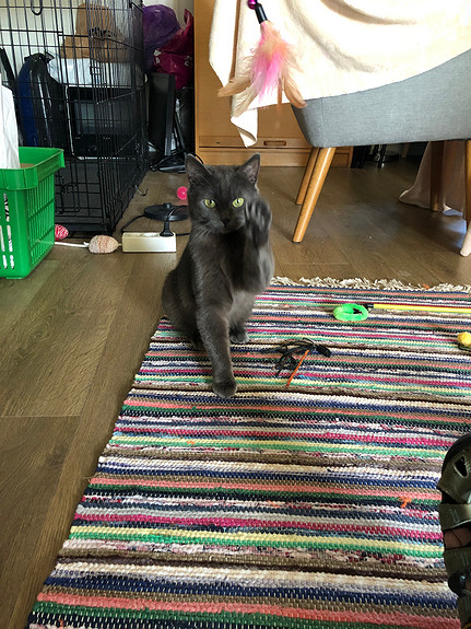Venter og venter😼❤️