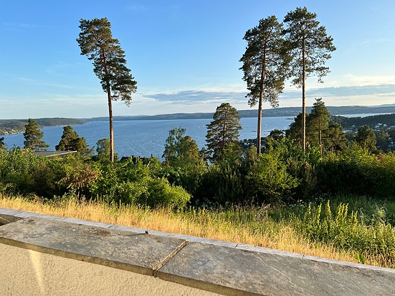 Utsikt