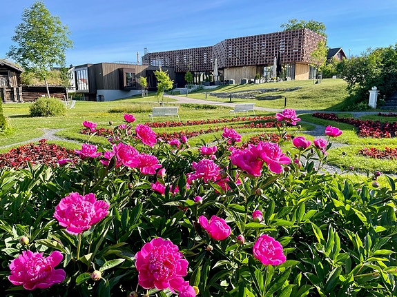 Bilde 1 av 9 i jobbannonse-galleriet