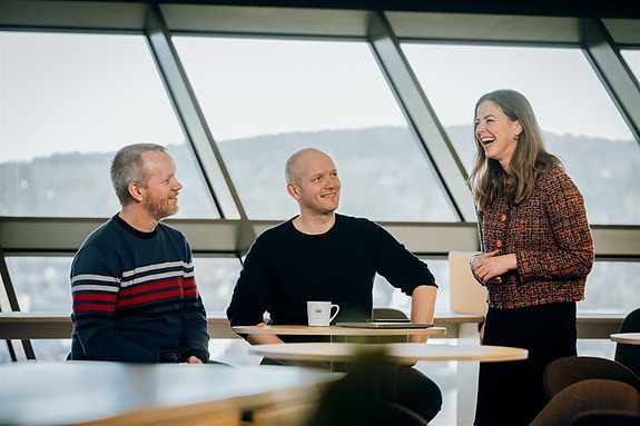 Bilde 5 av 7 i jobbannonse-galleriet