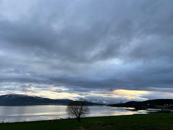 Bilde 22 av 57 i jobbannonse-galleriet