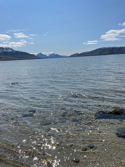 Bilde 20 av 57 i jobbannonse-galleriet