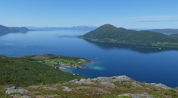 Bilde 13 av 57 i jobbannonse-galleriet