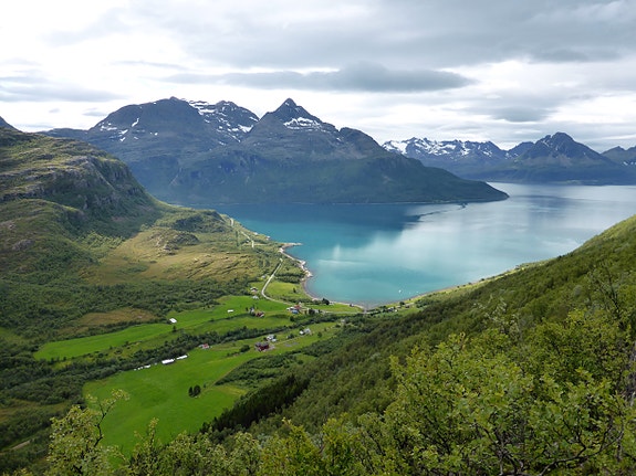 Bilde 15 av 57 i jobbannonse-galleriet