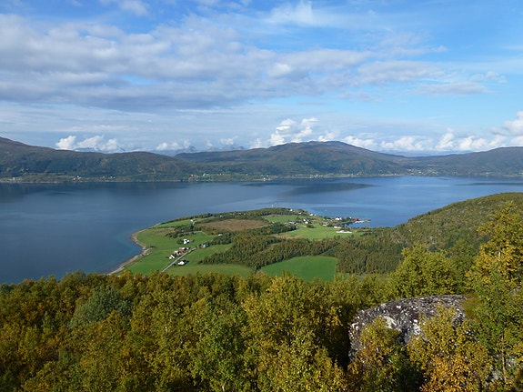 Bilde 24 av 57 i jobbannonse-galleriet