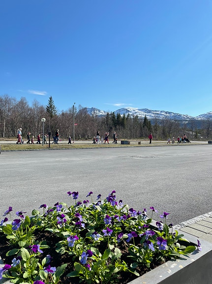 Bilde 23 av 57 i jobbannonse-galleriet