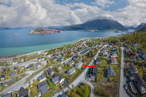 Flott utsikt mot Narvik havn samt utover deler av Ofotfjorden