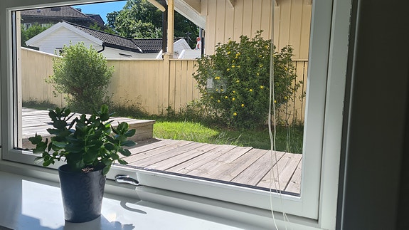 Utsikt kjøkkenvindu