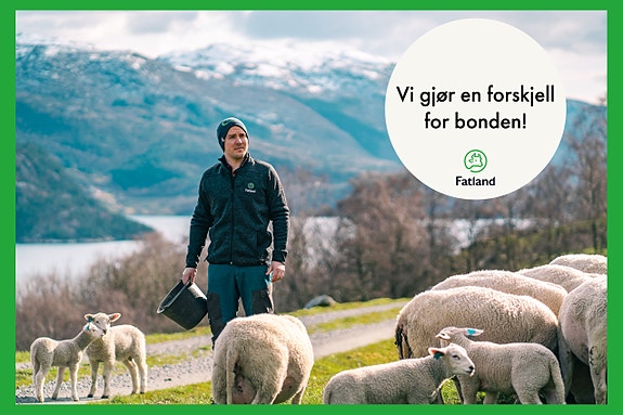 Bilde 2 av 2 i jobbannonse-galleriet