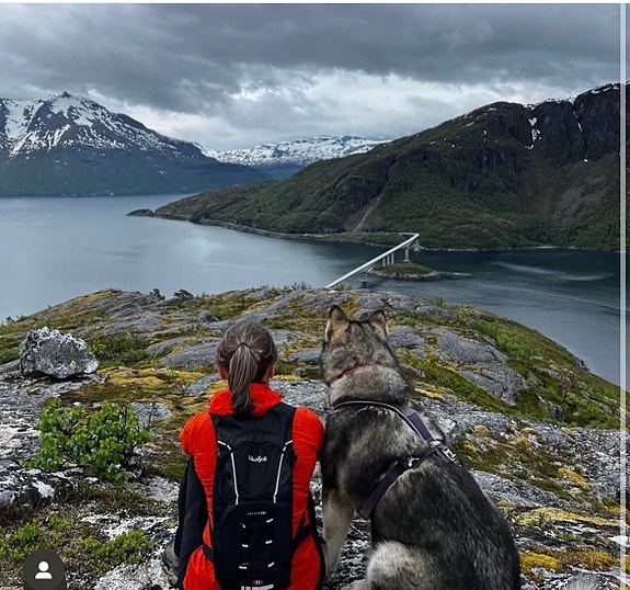 Bilde 28 av 57 i jobbannonse-galleriet