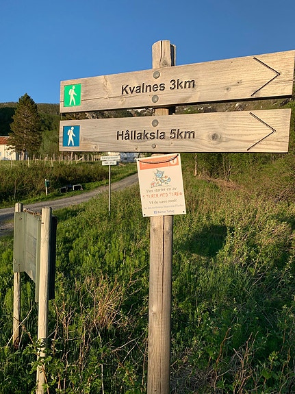 Bilde 43 av 57 i jobbannonse-galleriet