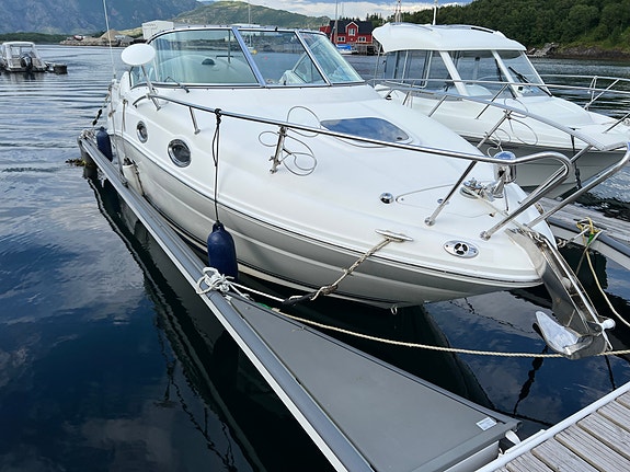 Sea Ray 245 Sundancer m/ D3 diesel, mye utstyr – selges rimelig 2 of 5