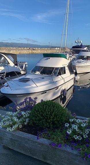 Viksund 270 St. Cruz med flybridge og gummijolle 18 of 25