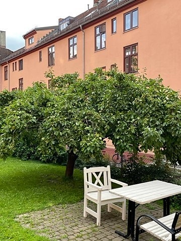 Lys og fin leilighet med en koselig bakgård
