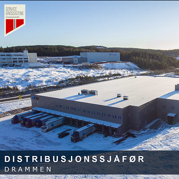 Bilde 1 av 1 i jobbannonse-galleriet