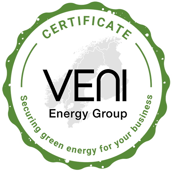 VENI Energy Group AS logo