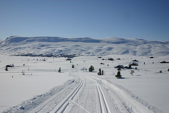 Beliggende i den nordre delen av Valdres finner du Rennefjell hyttegrend med tomter beliggende over 1.000 moh